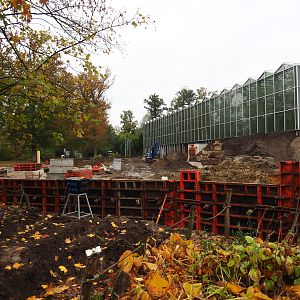 Orangutan project construction site in and around the Asian greenhouse, 2021-11-06