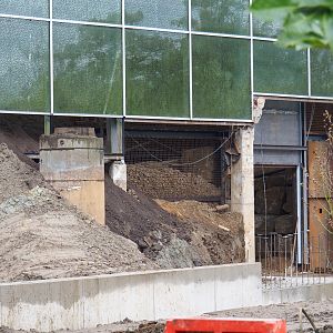Orangutan project construction site in and around the Asian greenhouse, 2021-11-06