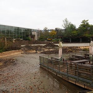 Drained pond between the restaurant and the orangutan project construction site, 2021-11-06