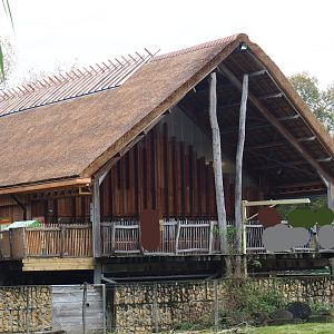 Kordofan giraffe house with renovated roof and walkways, 2021-11-06