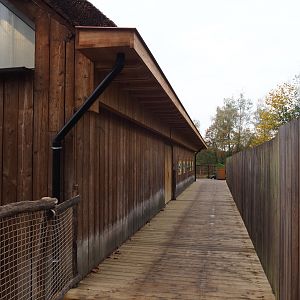 Kordofan giraffe house with renovated walkway and renovated roof with new roof gutters, 2021-11-06