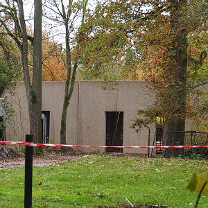 New antelope building construction site, 2021-11-06