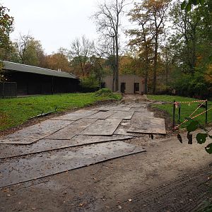 New antelope building construction site, 2021-11-06