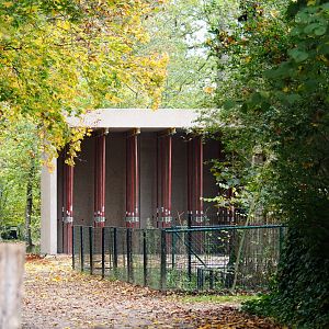 New antelope building construction site, 2021-11-06