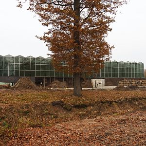 Orangutan project construction site in and around the Asian greenhouse, 2021-11-23