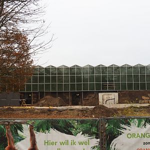 Orangutan project construction site in and around the Asian greenhouse, 2021-11-23