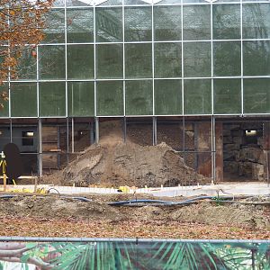 Orangutan project construction site in and around the Asian greenhouse, 2021-11-23
