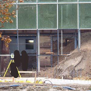 Orangutan project construction site in and around the Asian greenhouse, 2021-11-23