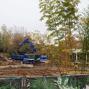 Orangutan project construction site in and around the Asian greenhouse, 2021-11-23