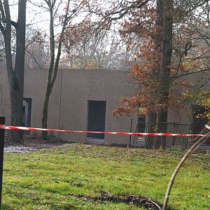 New antelope building construction site, 2021-11-06