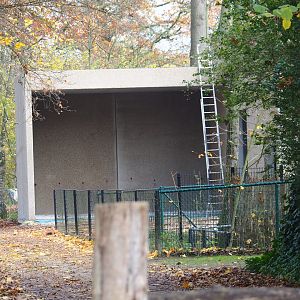 New antelope building construction site, 2021-11-06