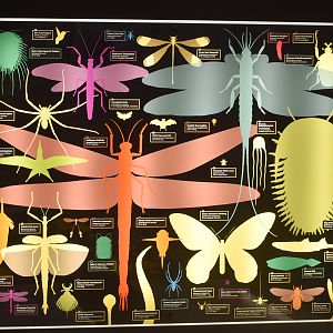 Size Comparison Signage