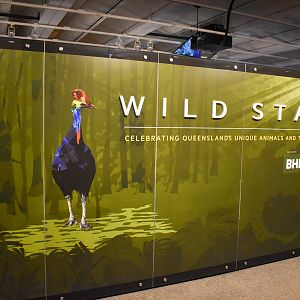 Wild State Exhibition