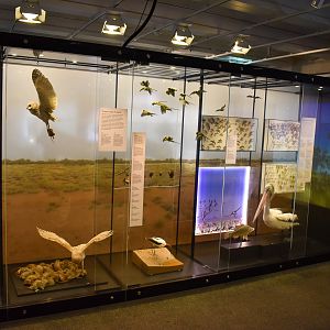 Wild State Exhibition - Inland Areas