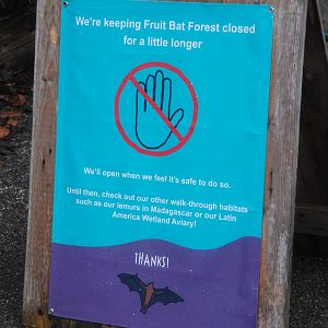 Fruit Bat Forest Signage at Chester, 26th November 2021