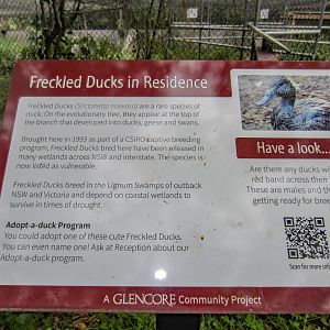 Information Board