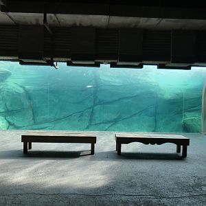 Underwater Polar Bear Viewing, Polar Frontier - Nov. 2021