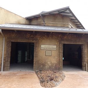 New! Indoor Orangutan Building, Australia & Islands - Nov. 2021