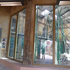 New! Indoor Orangutan Building, Australia & Islands - Nov. 2021