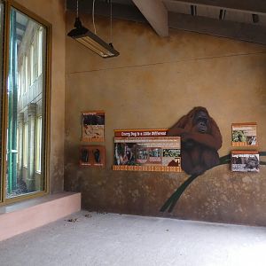 New! Indoor Orangutan Building, Australia & Islands - Nov. 2021