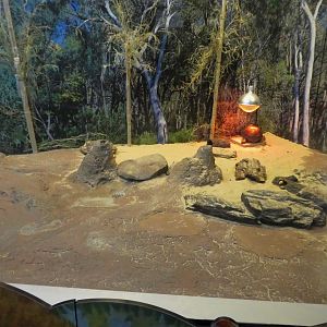 KidZooU - Faris Family Education Center - Rotational Turtles Exhibit