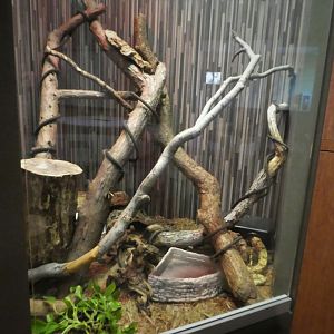 KidZooU - Faris Family Education Center - Northern Boa Exhibit