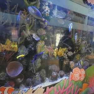 KidZooU - Faris Family Education Center - Tropical Fish Exhibit