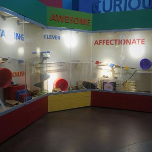 KidZooU - Faris Family Education Center - Fancy Rat Exhibit