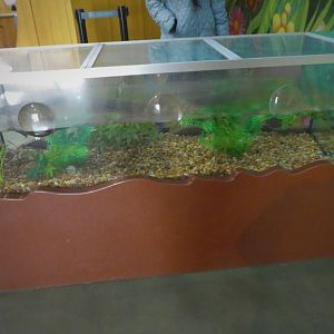 KidZooU - Faris Family Education Center - Toe Biter Exhibit