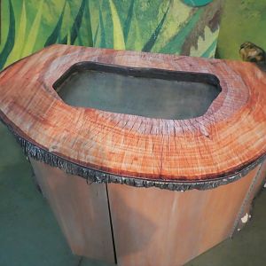 KidZooU - Faris Family Education Center - Harlequin Flower Beetle Exhibit