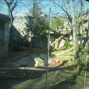 Big Cat Falls - Jaguar Exhibit