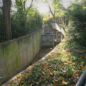 African Plains - Gazelle, Red River Hog, & Stork Barn