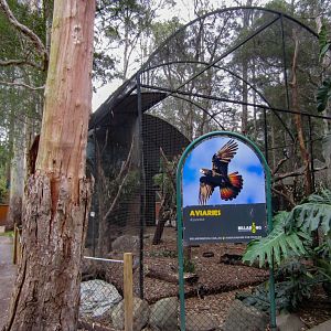 Australian Birds aviary