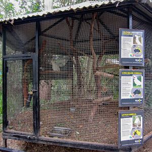 Cockatoo Aviary