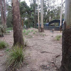 Emu enclosure