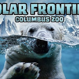 The Polar Frontier at the Columbus Zoo | Ep. 20 (Virtual Zoo Tours YouTube)