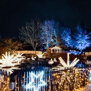 The pelican pond during the Christmas Garden event