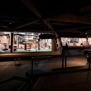 Western lowland gorilla indoors