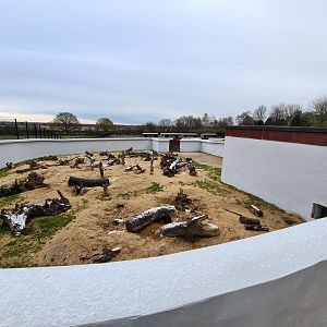 Meerkat and Sulcata Exhibit, Askham Bryan Wildlife Park
