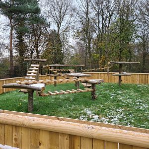Future Racoon Exhibit, Askham Bryan Wildlife Park