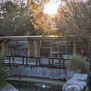 Update from November 27 2021 on old chimp habitat