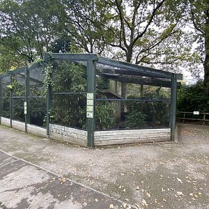 Aviaries 061121