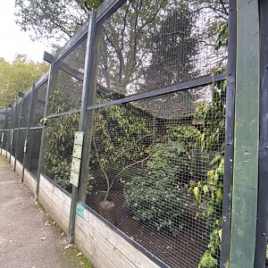 Aviaries 061121