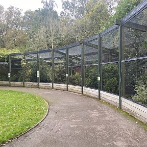 Aviaries 061121