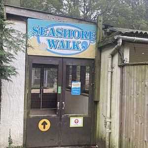 Seashore Walk 061121