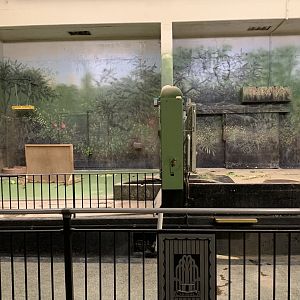 Pachyderm House - Former pygmy hippo exhibits, now belonging to the capybara