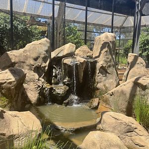 Sasol Aviary Waterfall