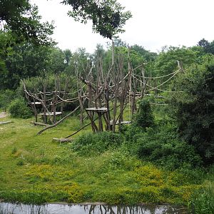 Part of the bonobo island, 2021-07-03