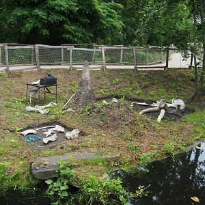African area theming - Elephant skeleton dig site, 2021-07-03