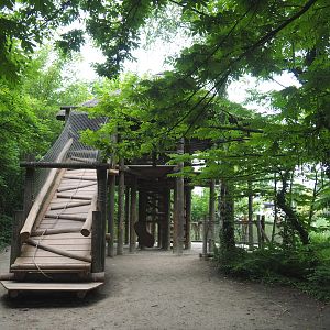 Structure with bonobo viewing area and play area at the exit of the African area, 2021-07-03
